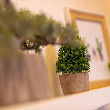 Apartament Dubra