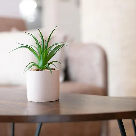 Dubra Apartment